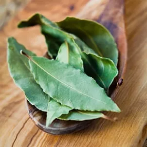 Bay Leaves