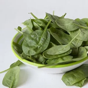 Fresh Spinach