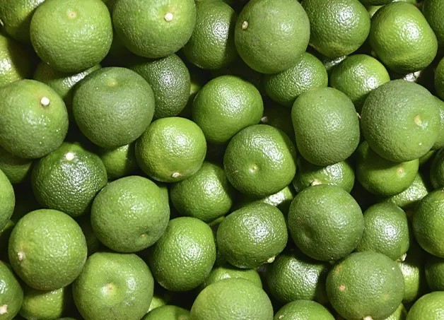 sicilian chinotto origins