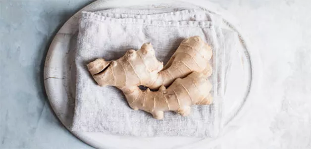 Mood_Image_Mixers Ginger Beer_02.jpg TBD