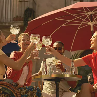 Mixers Tonica Citrus mood img 1