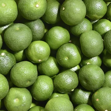 sicilian chinotto origins