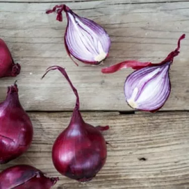 Red onion from Tropea