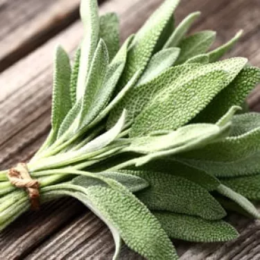 Sage