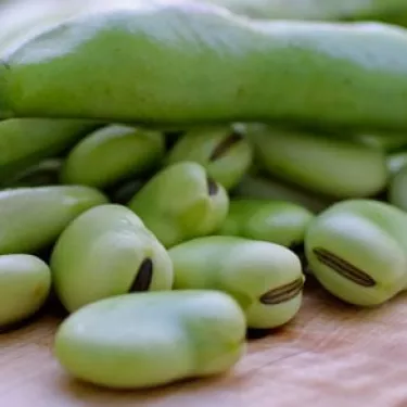 Favas