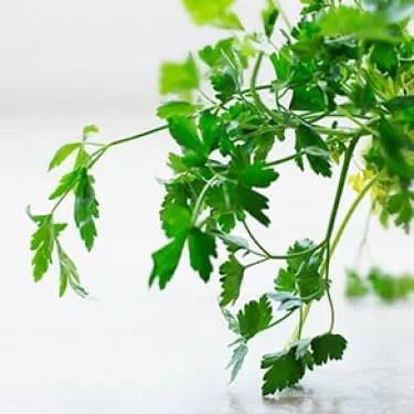 Parsley