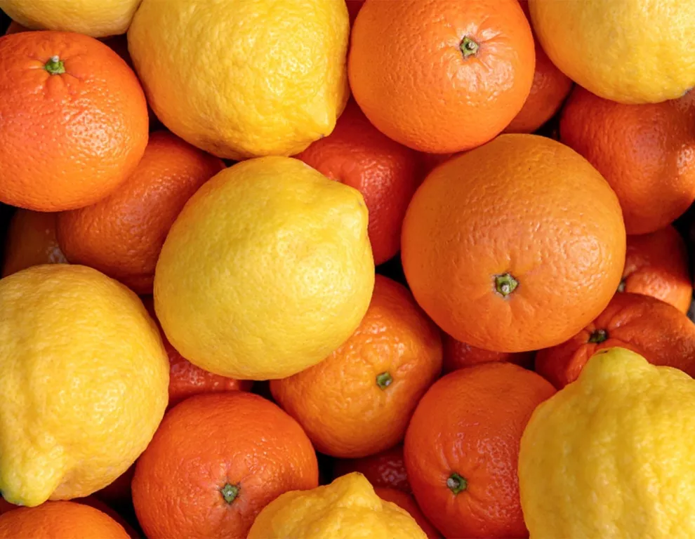 Citrus Fruits