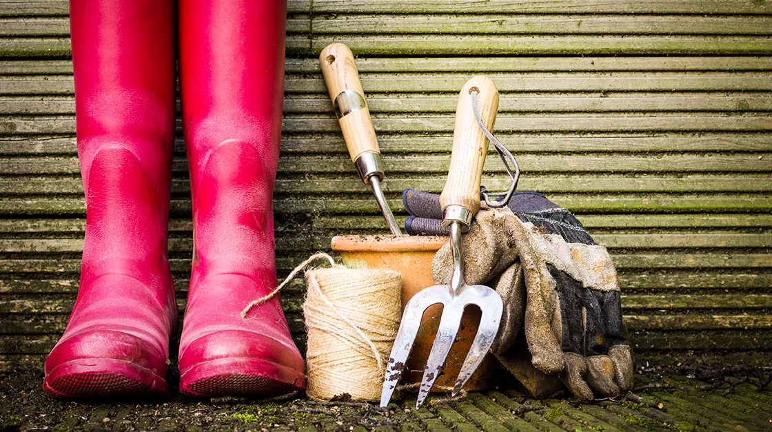 Make home-grown ingredients with gardening