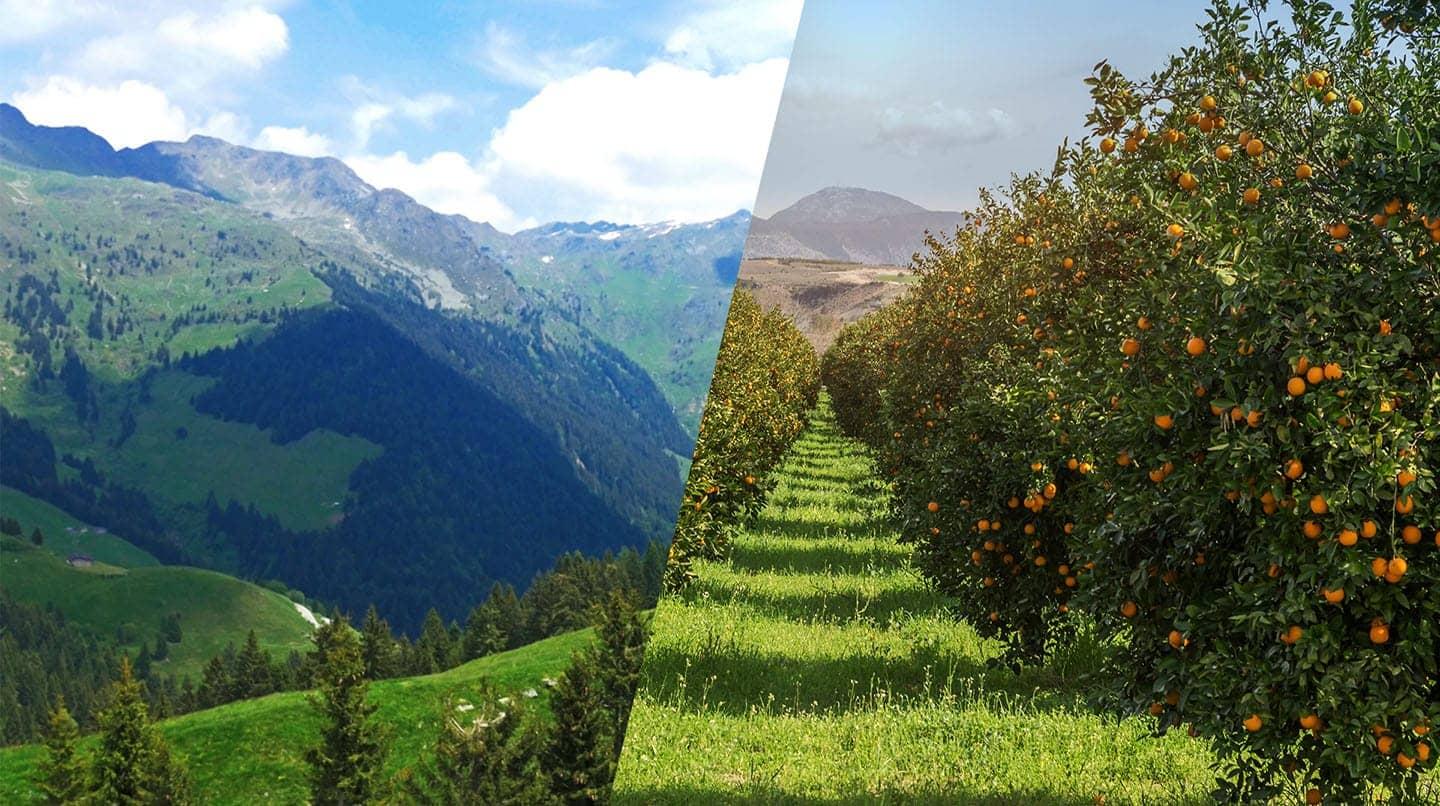 Sanpellegrino commitment to the environment