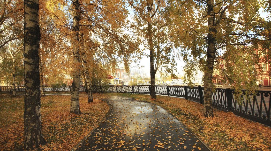 Autumn Mood