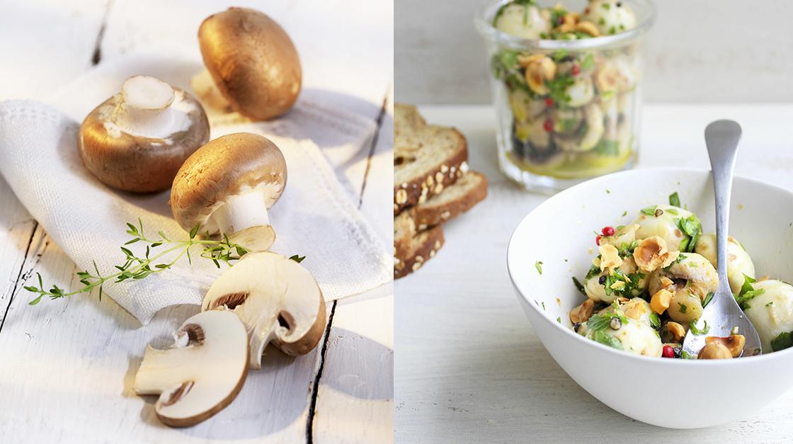 Mushrooms From Forest To Table