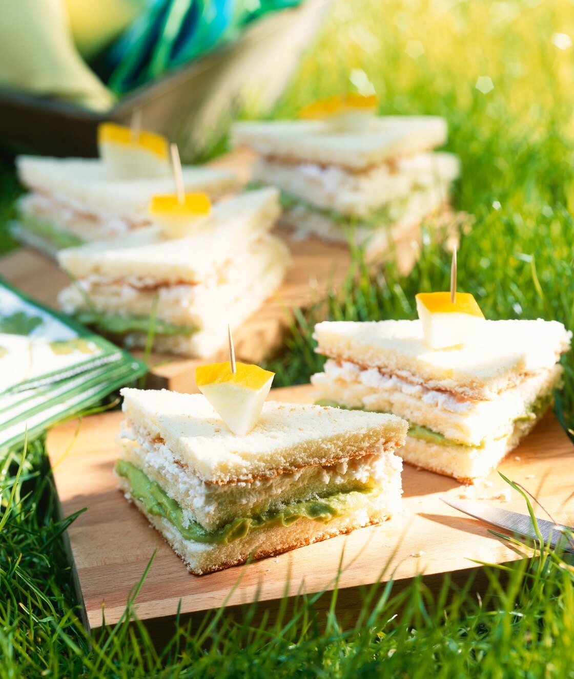 Simple art of picnics