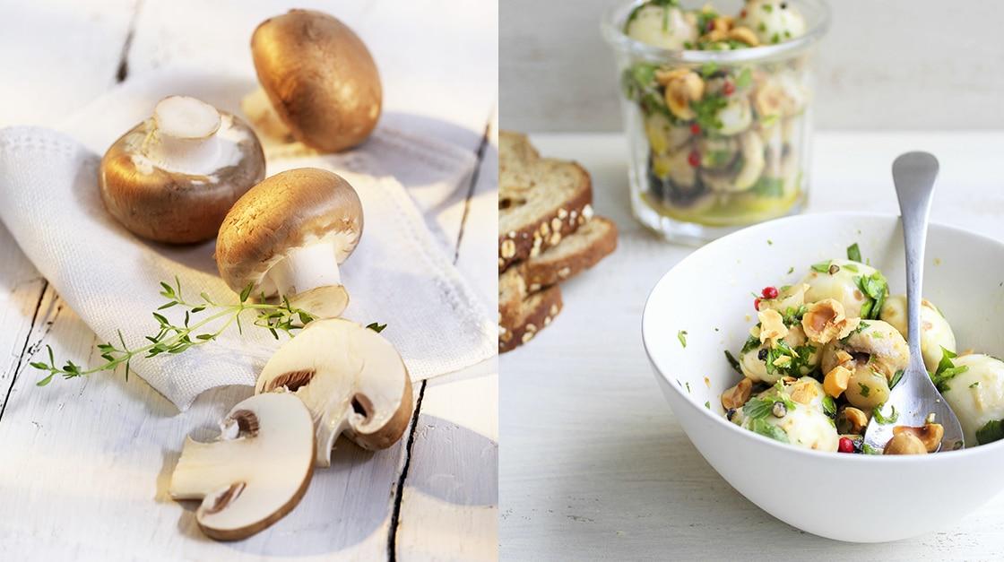 Post_sanpellegrino_mushrooms