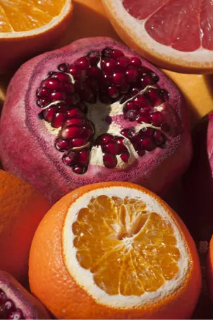 grapefruit-a-taste-of-paradise-grid-system-core.jpg Isd Origins a taste of paradise