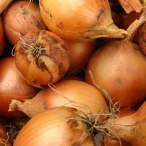 Onions