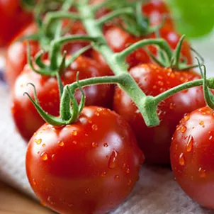 BRUSCHETTA_TOMATOES_4