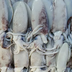 calmari_stuffed_calamari_4