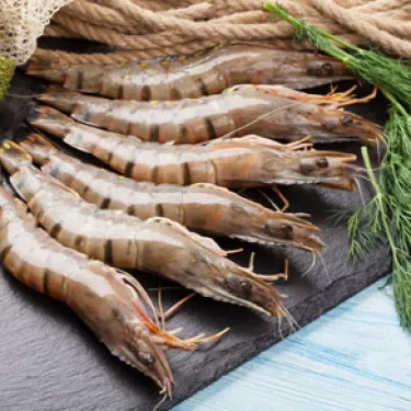 Prawns
