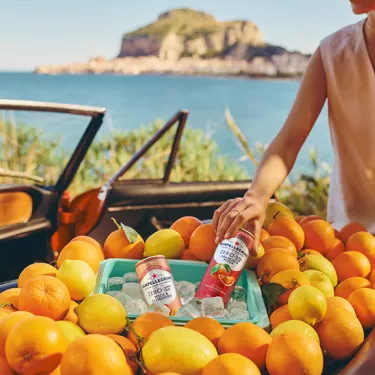 sanpellegrino intl blood orange lemonade zero car grid system core