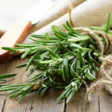 rosemary