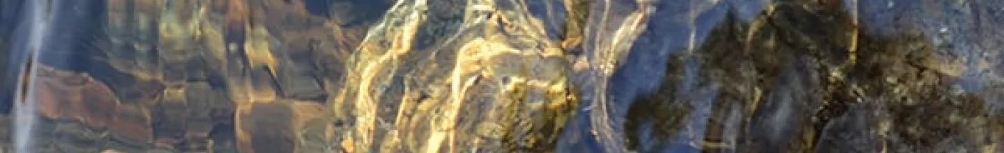 water source sanpellegrino mobile